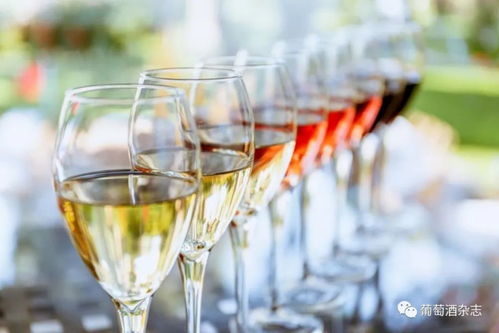 酒類批發(fā)新路徑 B2B電商平臺(tái)月銷近百萬的葡萄酒進(jìn)貨渠道